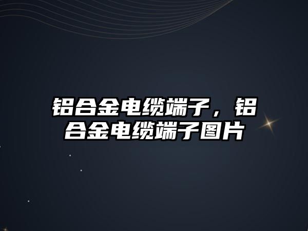 鋁合金電纜端子，鋁合金電纜端子圖片