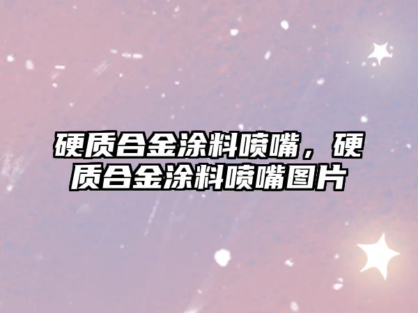 硬質(zhì)合金涂料噴嘴，硬質(zhì)合金涂料噴嘴圖片