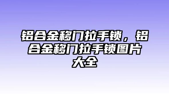 鋁合金移門(mén)拉手鎖，鋁合金移門(mén)拉手鎖圖片大全