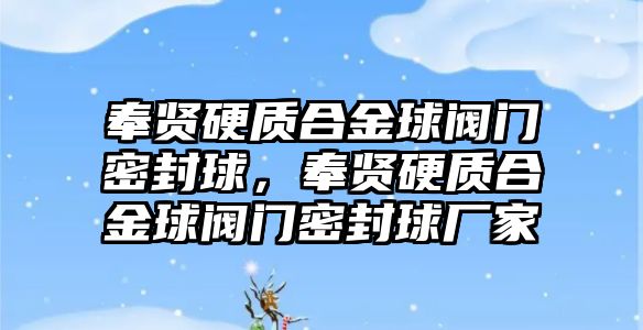 奉賢硬質(zhì)合金球閥門密封球，奉賢硬質(zhì)合金球閥門密封球廠家