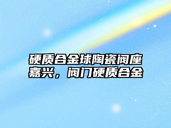 硬質(zhì)合金球陶瓷閥座嘉興，閥門硬質(zhì)合金