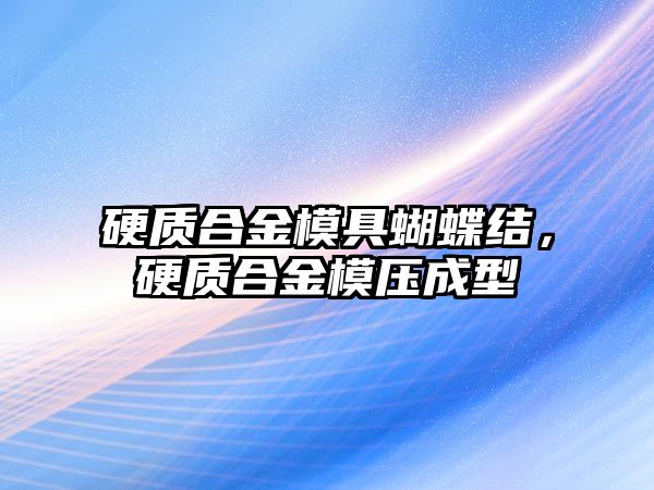 硬質(zhì)合金模具蝴蝶結(jié)，硬質(zhì)合金模壓成型