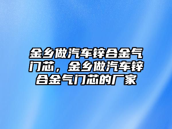 金鄉(xiāng)做汽車鋅合金氣門芯，金鄉(xiāng)做汽車鋅合金氣門芯的廠家