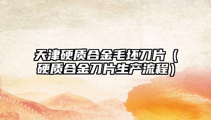 天津硬質(zhì)合金毛坯刀片（硬質(zhì)合金刀片生產(chǎn)流程）