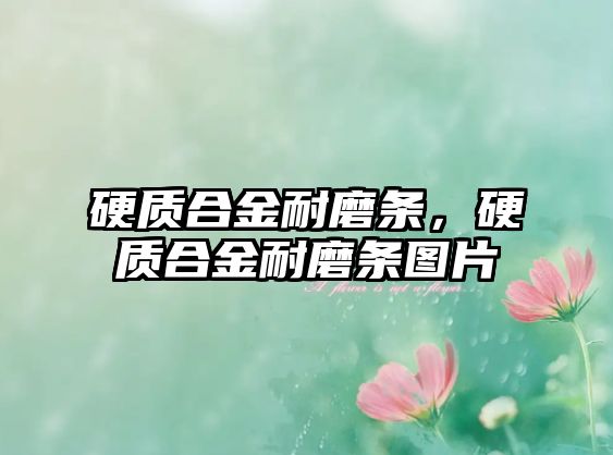 硬質(zhì)合金耐磨條，硬質(zhì)合金耐磨條圖片