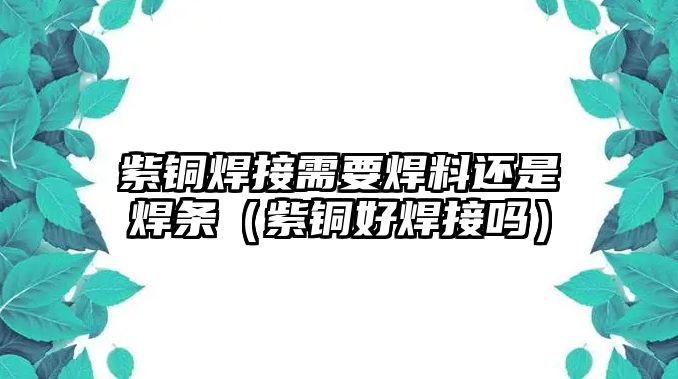 紫銅焊接需要焊料還是焊條（紫銅好焊接嗎）