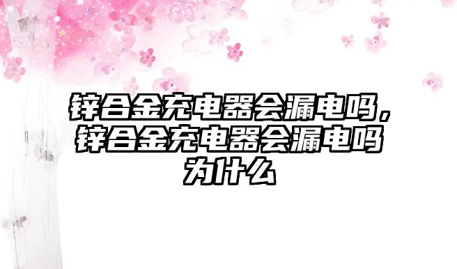 鋅合金充電器會(huì)漏電嗎，鋅合金充電器會(huì)漏電嗎為什么