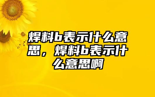 焊料b表示什么意思，焊料b表示什么意思啊