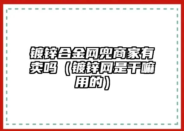 鍍鋅合金網(wǎng)兜商家有賣嗎（鍍鋅網(wǎng)是干嘛用的）