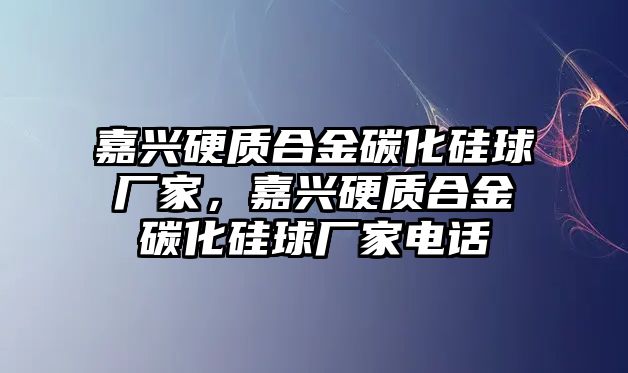 嘉興硬質(zhì)合金碳化硅球廠家，嘉興硬質(zhì)合金碳化硅球廠家電話