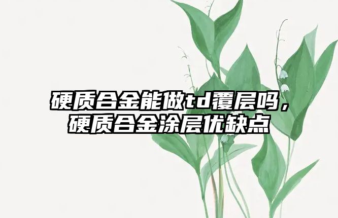 硬質(zhì)合金能做td覆層嗎，硬質(zhì)合金涂層優(yōu)缺點