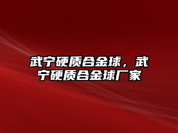 武寧硬質(zhì)合金球，武寧硬質(zhì)合金球廠家