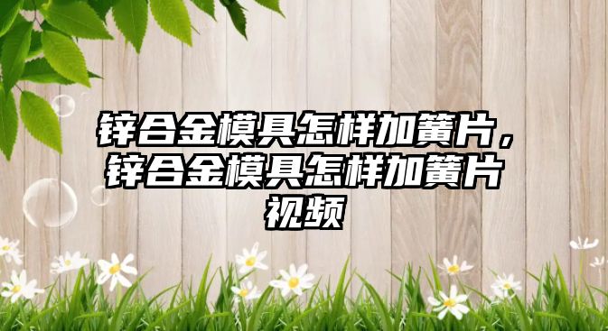 鋅合金模具怎樣加簧片，鋅合金模具怎樣加簧片視頻