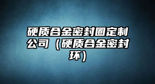 硬質合金密封圈定制公司（硬質合金密封環(huán)）