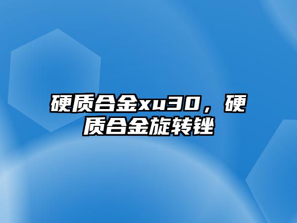 硬質(zhì)合金xu30，硬質(zhì)合金旋轉(zhuǎn)銼