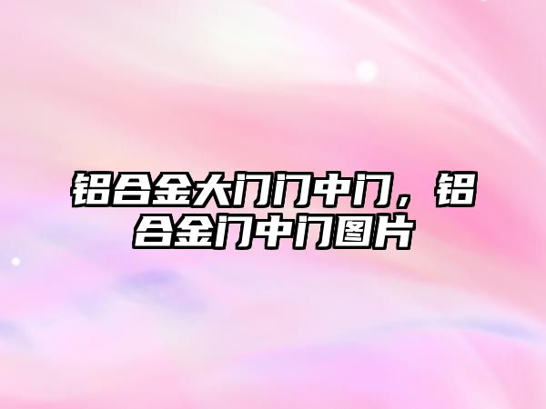 鋁合金大門門中門，鋁合金門中門圖片