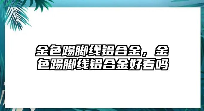 金色踢腳線鋁合金，金色踢腳線鋁合金好看嗎