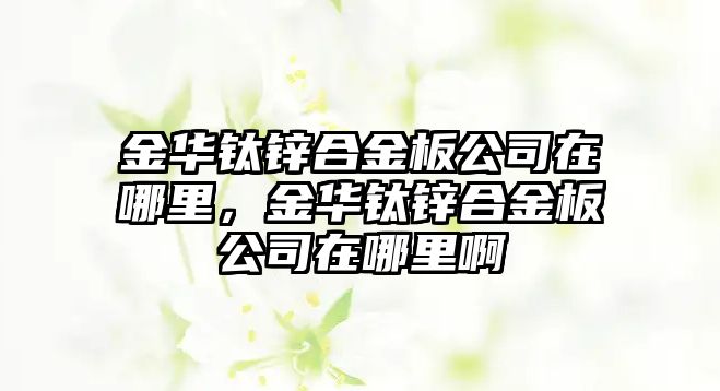 金華鈦鋅合金板公司在哪里，金華鈦鋅合金板公司在哪里啊