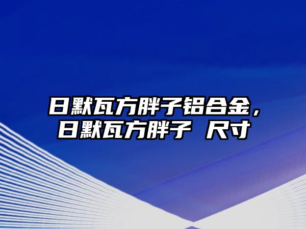 日默瓦方胖子鋁合金，日默瓦方胖子 尺寸