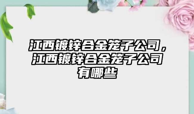 江西鍍鋅合金籠子公司，江西鍍鋅合金籠子公司有哪些