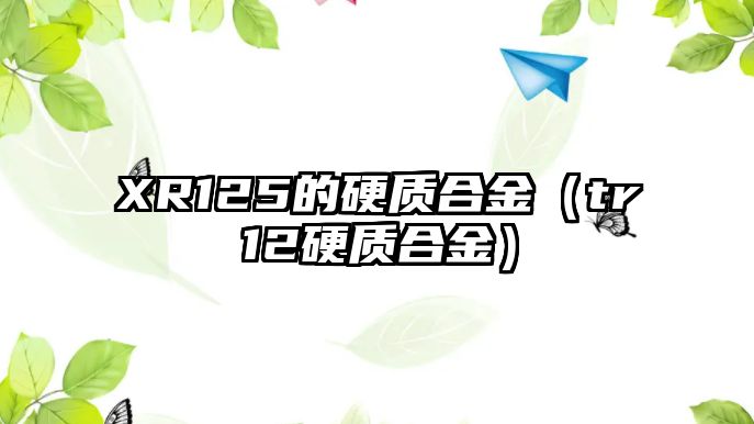 XR125的硬質(zhì)合金（tr12硬質(zhì)合金）