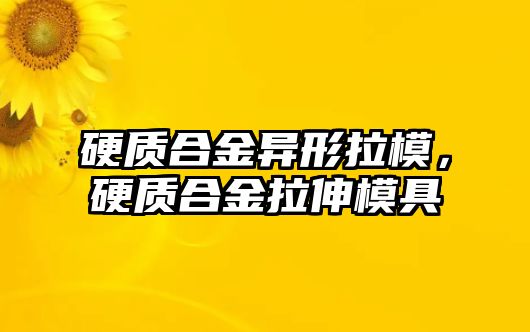 硬質(zhì)合金異形拉模，硬質(zhì)合金拉伸模具