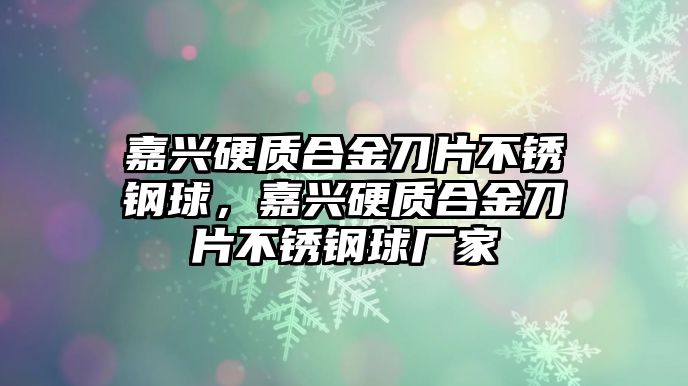 嘉興硬質(zhì)合金刀片不銹鋼球，嘉興硬質(zhì)合金刀片不銹鋼球廠家