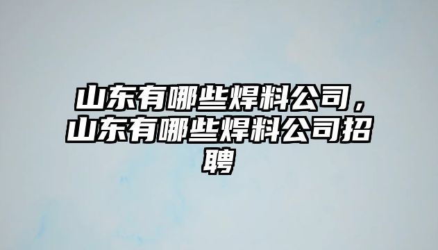 山東有哪些焊料公司，山東有哪些焊料公司招聘