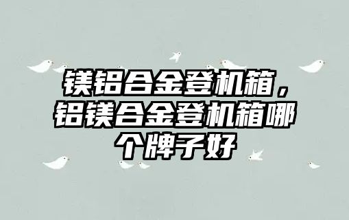 鎂鋁合金登機箱，鋁鎂合金登機箱哪個牌子好