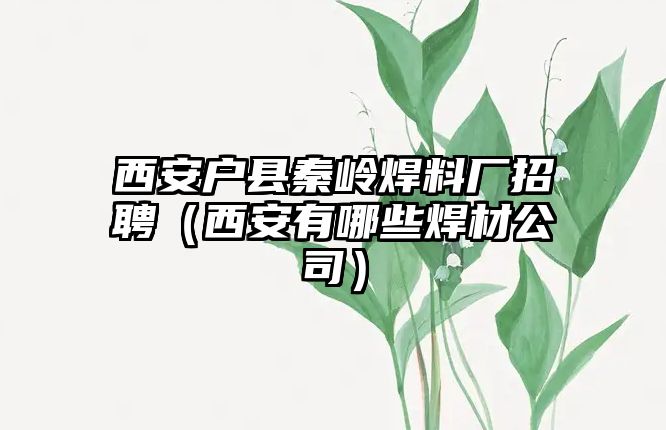 西安戶縣秦嶺焊料廠招聘（西安有哪些焊材公司）