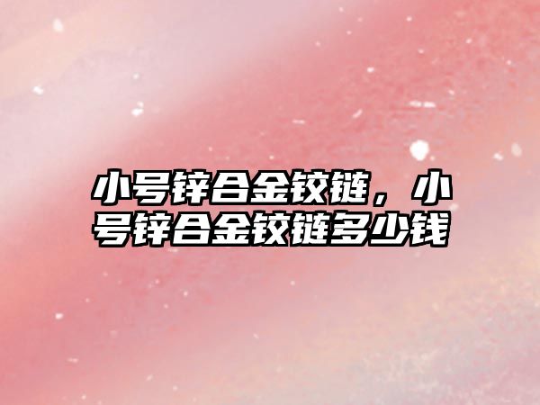 小號鋅合金鉸鏈，小號鋅合金鉸鏈多少錢