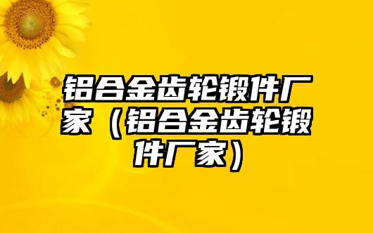 鋁合金齒輪鍛件廠家（鋁合金齒輪鍛件廠家）