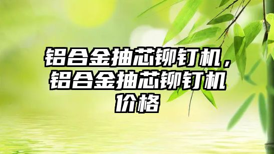 鋁合金抽芯鉚釘機，鋁合金抽芯鉚釘機價格