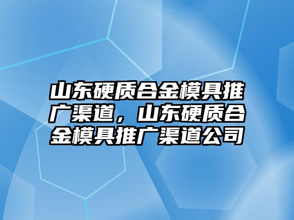 山東硬質(zhì)合金模具推廣渠道，山東硬質(zhì)合金模具推廣渠道公司