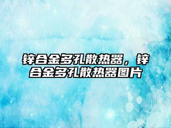 鋅合金多孔散熱器，鋅合金多孔散熱器圖片