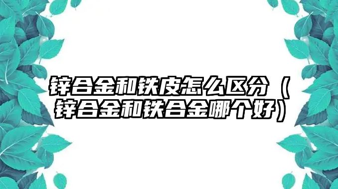 鋅合金和鐵皮怎么區(qū)分（鋅合金和鐵合金哪個(gè)好）