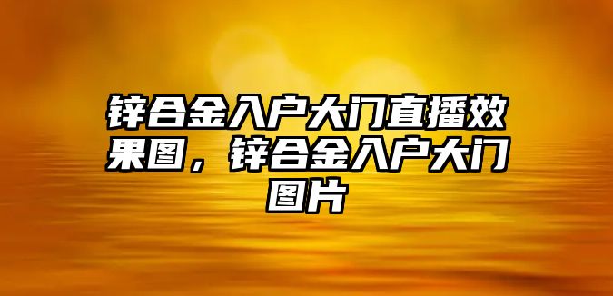 鋅合金入戶大門直播效果圖，鋅合金入戶大門圖片