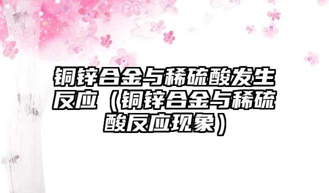 銅鋅合金與稀硫酸發(fā)生反應(yīng)（銅鋅合金與稀硫酸反應(yīng)現(xiàn)象）