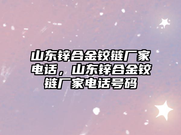 山東鋅合金鉸鏈廠家電話，山東鋅合金鉸鏈廠家電話號碼