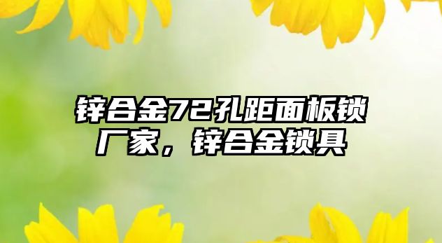 鋅合金72孔距面板鎖廠家，鋅合金鎖具