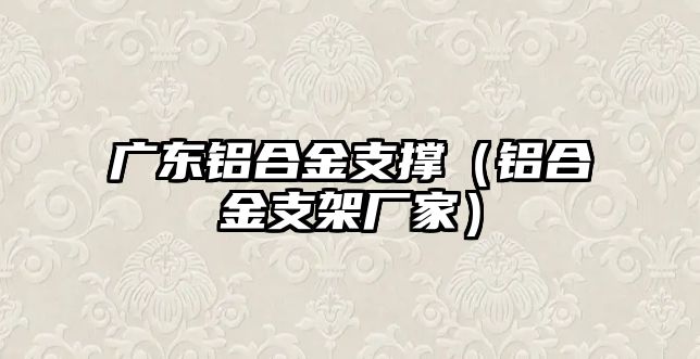 廣東鋁合金支撐（鋁合金支架廠家）