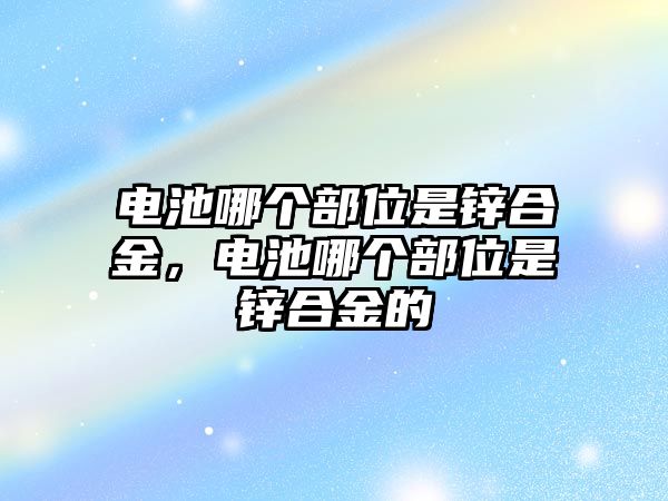 電池哪個部位是鋅合金，電池哪個部位是鋅合金的