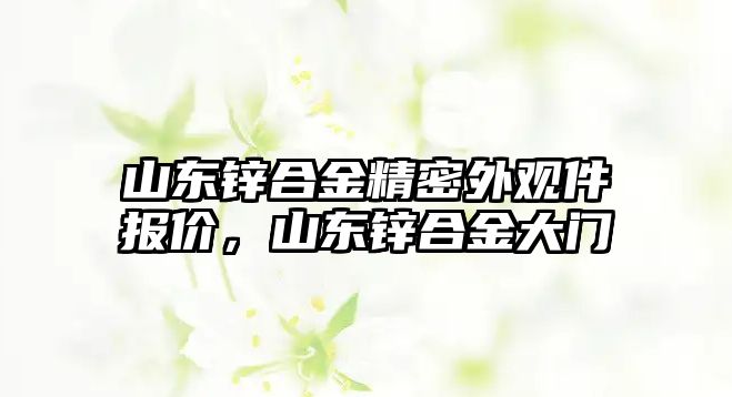 山東鋅合金精密外觀件報價，山東鋅合金大門