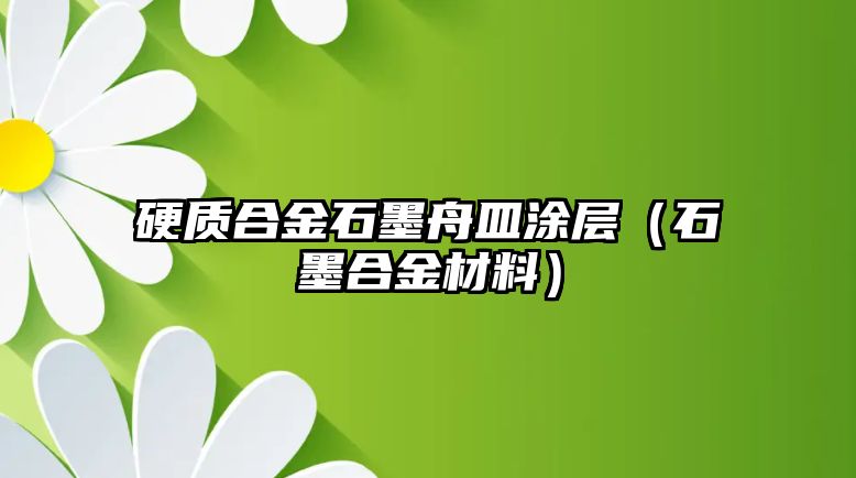 硬質合金石墨舟皿涂層（石墨合金材料）