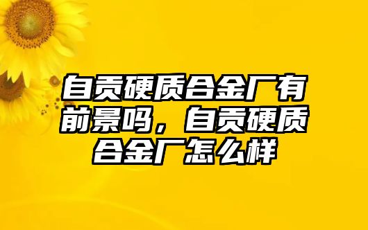 自貢硬質(zhì)合金廠有前景嗎，自貢硬質(zhì)合金廠怎么樣