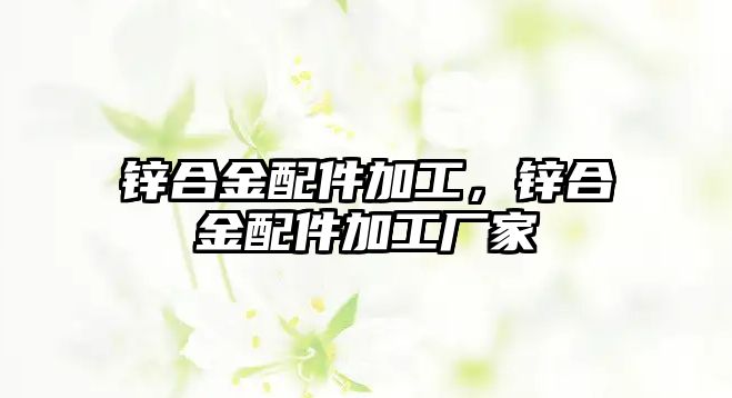 鋅合金配件加工，鋅合金配件加工廠家