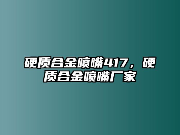 硬質(zhì)合金噴嘴417，硬質(zhì)合金噴嘴廠家