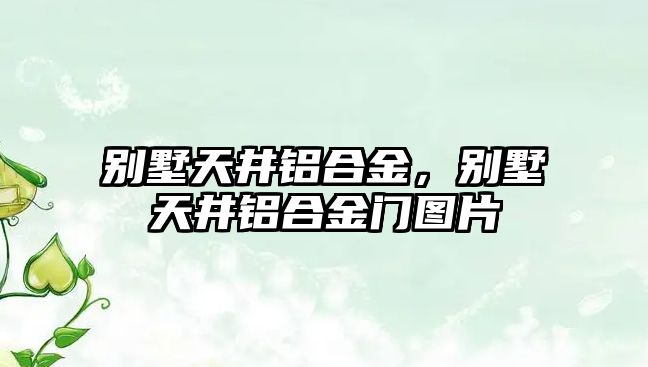 別墅天井鋁合金，別墅天井鋁合金門(mén)圖片