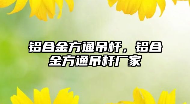 鋁合金方通吊桿，鋁合金方通吊桿廠家