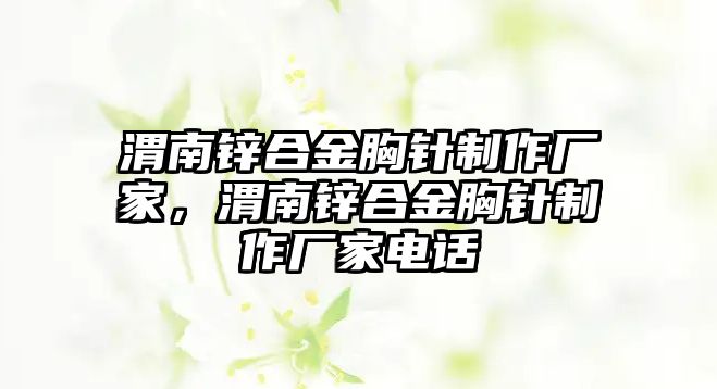 渭南鋅合金胸針制作廠家，渭南鋅合金胸針制作廠家電話(huà)